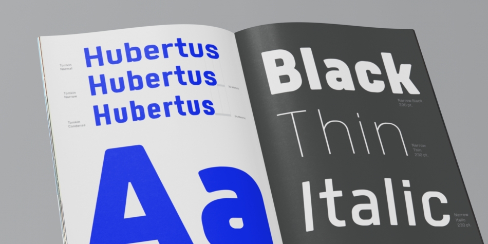 Tomkin Black Italic Font preview